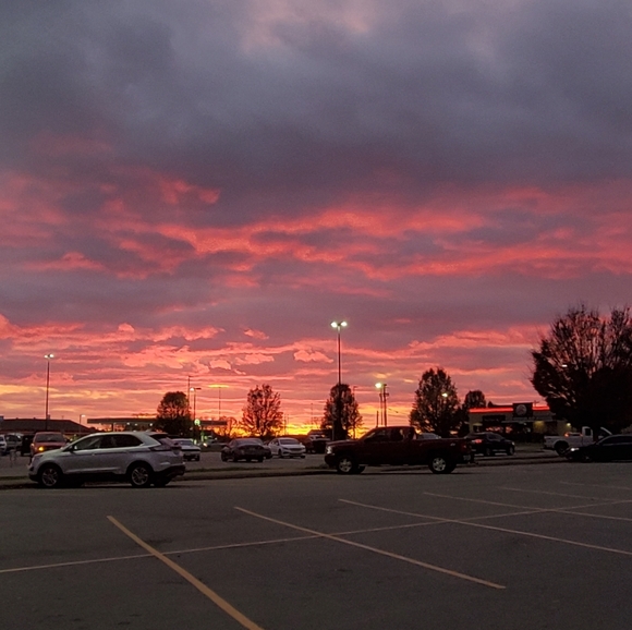 Meet your Posher, Kayden - Picture 1 of 1